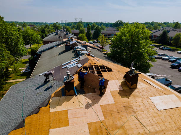 Trusted Storm Damage Roof Repair service in Grace, ID - Brentwood Metal Roofing